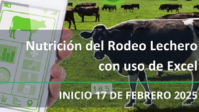  ¡Más leche, menos costos y animales más sanos! Curso de Nutrición del Rodeo Lechero con Excel 