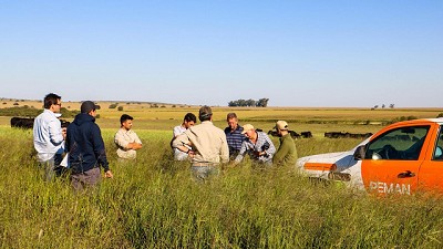 Nyasi: La nueva forrajera que revoluciona la producción en zonas templadas de país.