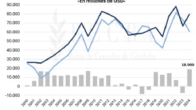 Con la recuperación de la producción agrícola, las exportaciones argentinas crecieron un 19% en 2024