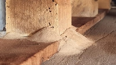 Se evitó el ingreso de plagas en embalajes de madera de mercadería de importación