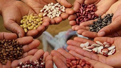 El Gobierno acelera la inscripción de semillas: Sturzenegger celebra la desregulación