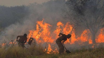 El control del fuego necesita un acuerdo de coordinación