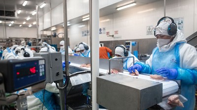 Argentina logró la apertura del mercado de Corea para la exportación de carne aviar