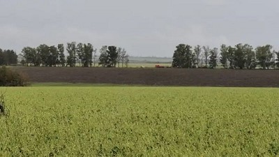 Entre 60.000 y 70.000 hás. afectadas por el temporal en el litoral