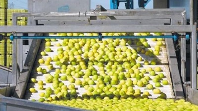 La citrícola San Miguel obtuvo más de US$16,2 millones de financiamiento