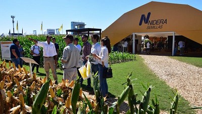 Lo mejor de las semillas en Expoagro: genética + IA para cada lote