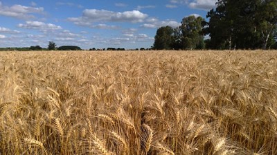 Simposio FERTILIDAD 2025: ¿Rompimos la inercia o cambiamos la velocidad?