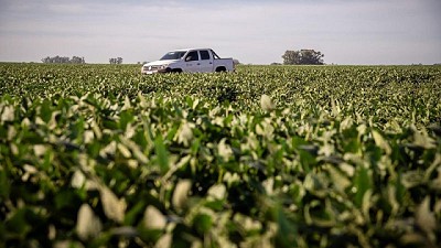 DONMARIO en Expoagro: más cerca del productor y con un ecosistema innovador
