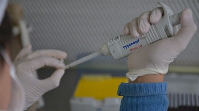 Argentina aprobó una levadura para mejorar la producción de bioetanol y una vacuna para fortalecer la sanidad animal