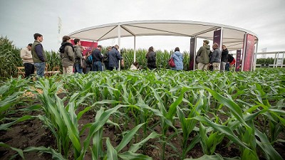 Expoagro 2025: Bayer presentó las soluciones integradas para maximizar el rendimiento de cada Hectárea