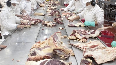 Se habilita el ingreso de carne con hueso a la Patagonia