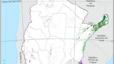 Argentina desarrolló un mapa de plantaciones forestales del territorio nacional certificado por el IGN