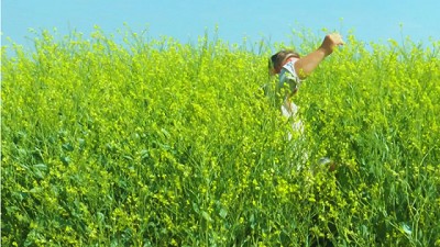 Colza: una alternativa estratégica para los cultivos de invierno