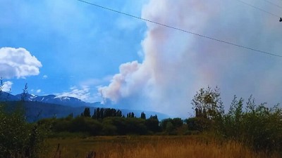 Recomendaciones agroforestales para recuperar los Suelos