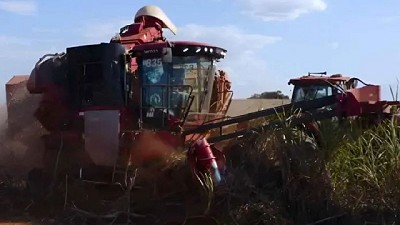 Un círculo perfecto: Case IH prueba a campo la primera cosechadora de caña de azúcar impulsada con bioetanol