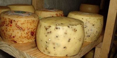 En el Día Mundial del Queso el festejo es delicioso