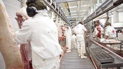 Argentina abrió el mercado de Paraguay para carne y menudencias porcinas