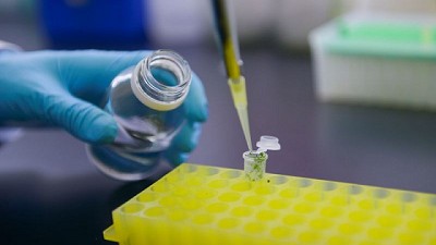 El Gobierno Nacional autorizó un nuevo evento transgénico de soja