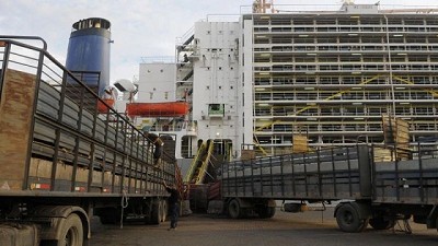 Exportación de ganado en pie: durante el primer trimestre se exportaron entre 70.000 y 75.000 cabezas