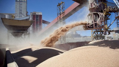 Inscripción para exportadores de granos de cebada, trigo, soja, sorgo y maíz a China
