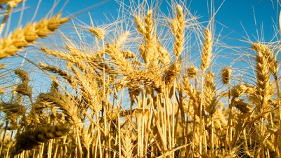 Se moderniza el sistema de trazabilidad y certificación para fertilizantes y enmiendas