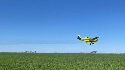 El negocio de la ineficiencia: cómo Argentina pulveriza mejor con menos