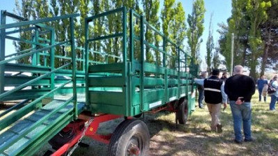 Sanidad ovina: ¿qué es el 