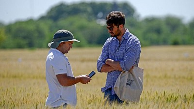 DONMARIO convoca a la 2° edición de la  Jornada de Actualización Técnica de Trigo