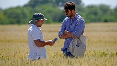 DONMARIO convoca a la 2° edición de la  Jornada de Actualización Técnica de Trigo