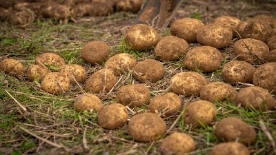 PepsiCo y Yara colaboran para reducir las emisiones en la agricultura