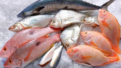 Consejos para el consumo seguro de productos de la pesca durante Semana Santa
