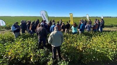 Los bioinsumos son tendencia, pero una tecnología que tiene todo por descubrir