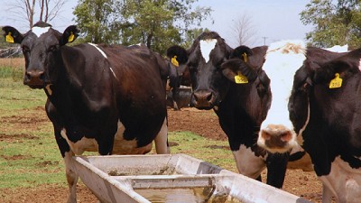 Evalúan el uso de purines para mejorar las propiedades del suelo