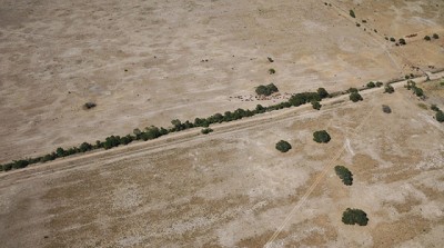 Economía declaró la emergencia agropecuaria para Chaco y Santa Fe