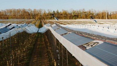 Módulos solares ultraligeros contra granizo en frutales