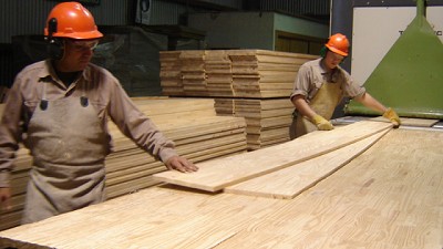 Las exportaciones de madera aumentaron en volumen un 41% en los primeros 2 meses del 2025