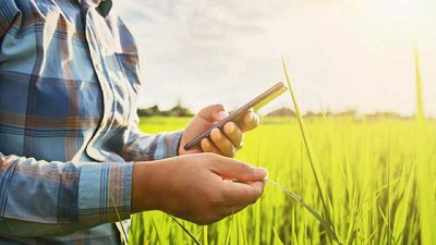 Resumen en 5 puntos para empezar el día informado de decisiones agropecuarias