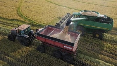 Cosecha de arroz se acerca a la finalización de los trabajos con altos rendimientos y muy buena calidad