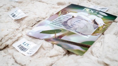 Nuevo Centro Logístico de Algodón en Zárate, Argentina