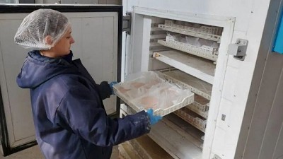 ¡Pacú con onda! Rosamonte apuesta al sabor con innovación. Pacú versión nuggets