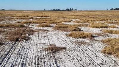 Recomendaciones para mitigar los efectos de la salinización de los suelos