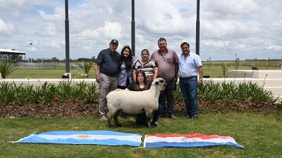 Presentan en Gran Bretaña el Mundial de Hampshire Down de Argentina en 2026