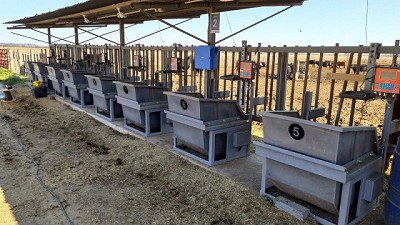 Ganadería de precisión, un conjunto de tecnologías para empezar a pensar el negocio a nivel individuo