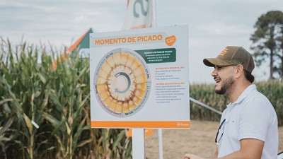 Los híbridos para silo Supra  Semillas portan un 