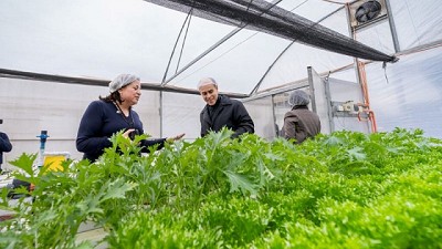 Agricultura vertical: tecnología eficiente y sostenible