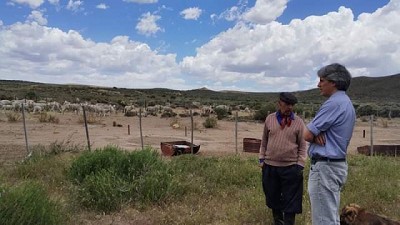 En los últimos años en Río Negro hemos generado valor agregado de 150 millones de dólares por año en la ganadería