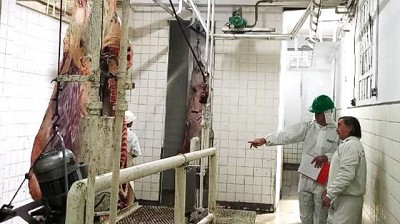 Estándar único: Se inició inspección a frigoríficos con habilitación en Entre Ríos