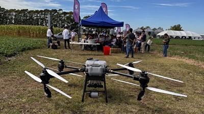 Maizar 2025: BASF presentará sus nuevos híbridos en maíz con tecnologías VT3Pro y Vip3CL