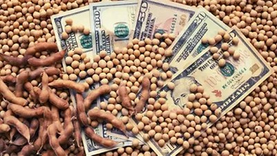 Breves del mercado de Granos