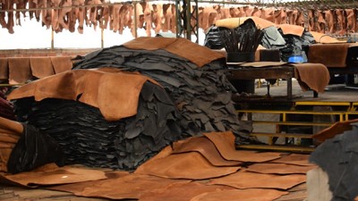 El Gobierno elimina histórica traba a las exportaciones de cueros bovinos